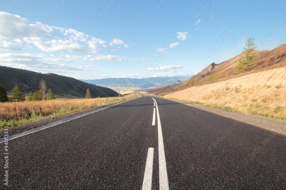 Fototapeta premium Дорога