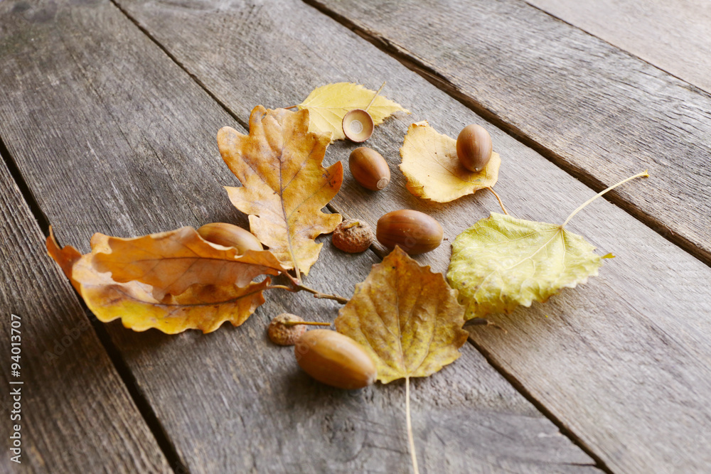 autumn leaves and acorns on a wooden surface with backlight