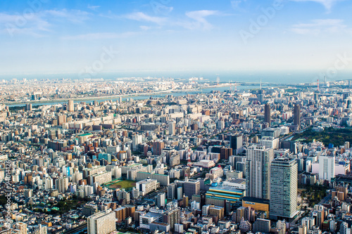 Aerial view of Tokyo  Japan