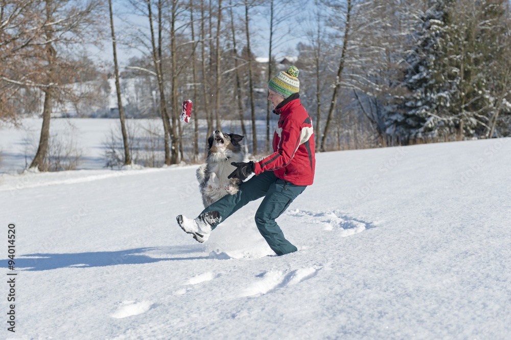 Spiel und Spass beim Hundespaziergang im Schnee