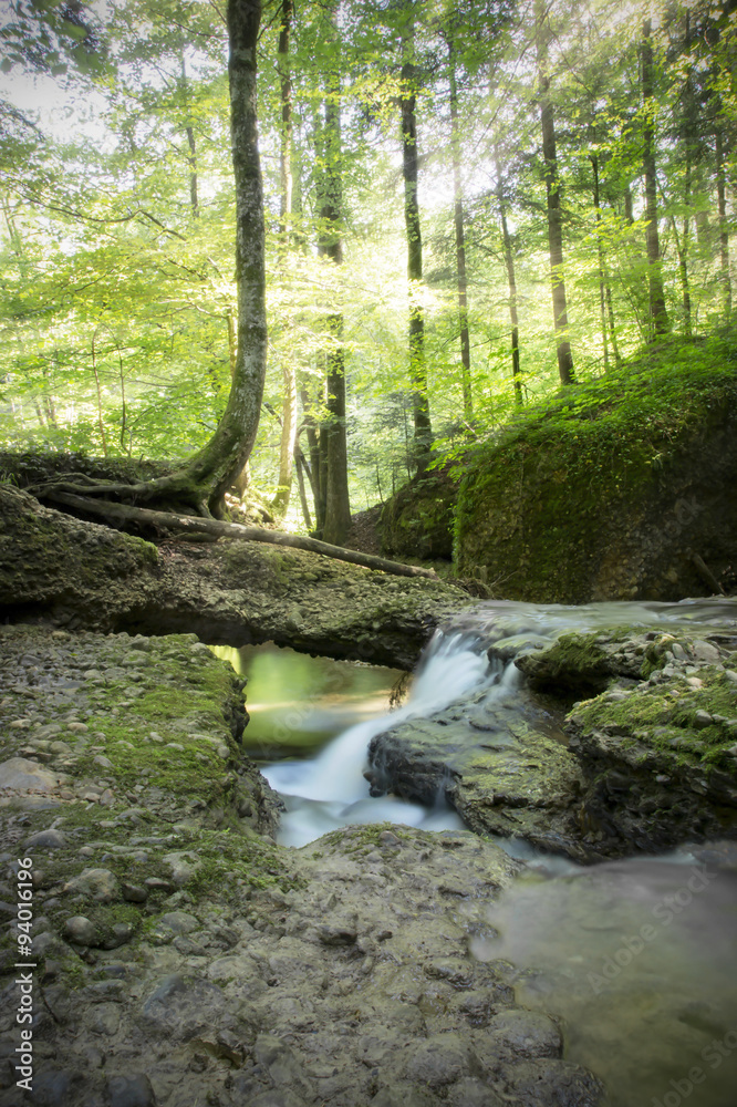 Fototapeta premium Scheidegger Wasserfall