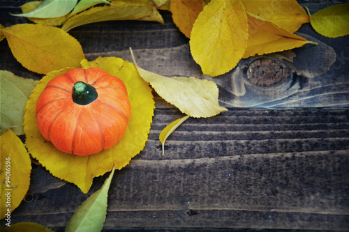 Herbst - Hintergrund - Kürb...