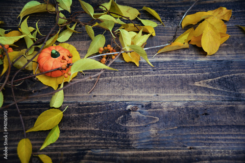 Herbst - Hintergrund - Kürb...