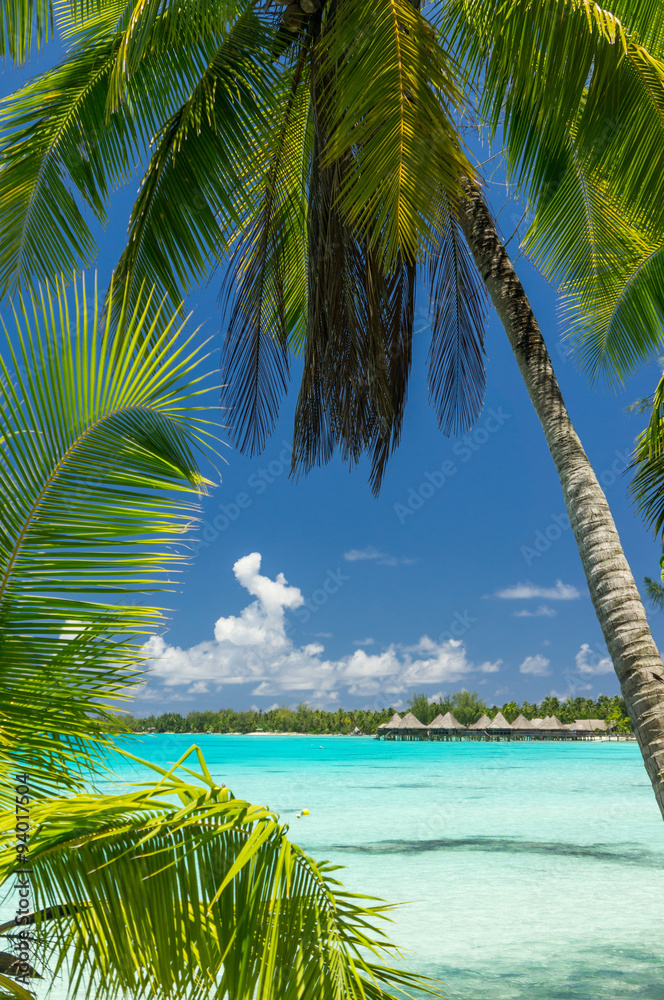 Fototapeta premium Paradise view of Rangiroa atoll, French Polynesia