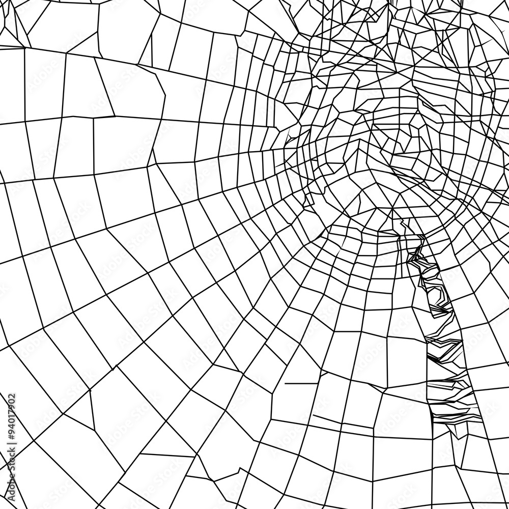 Obraz premium silhouette spiderweb