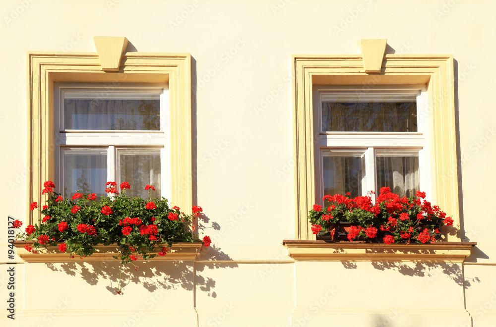 windows and flower boxes, Prague