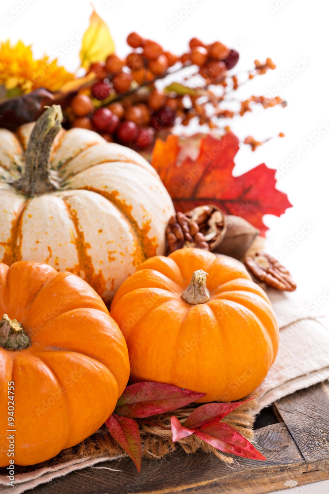 Pumpkin still life isolated on white