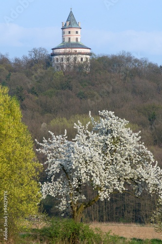 Castle Humprecht in Bohemia Paradise photo