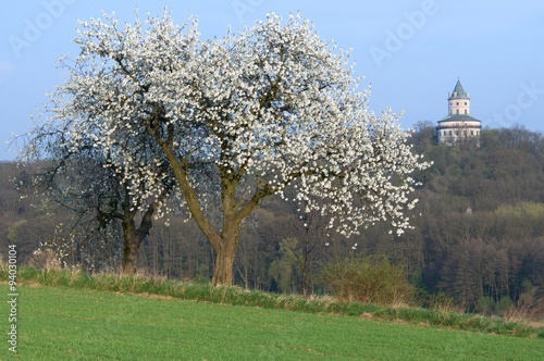 Castle Humprecht in Bohemia Paradise photo