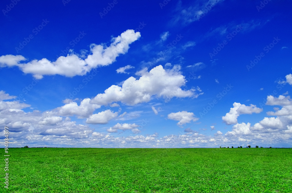 Green field with a blue sky with clouds