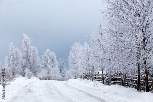 Winter landscape with snowy fir trees © Melinda Nagy