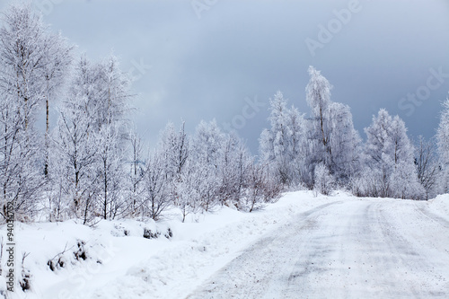 Winter landscape with snowy fir trees