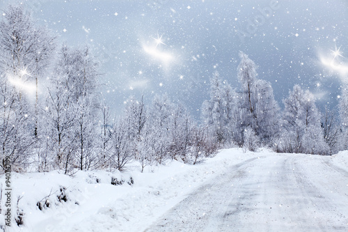 Winter landscape with snowy fir trees