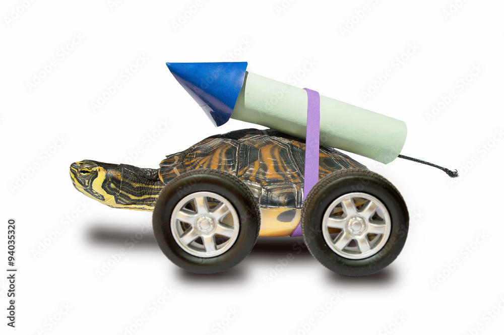 Naklejka premium fast turtle