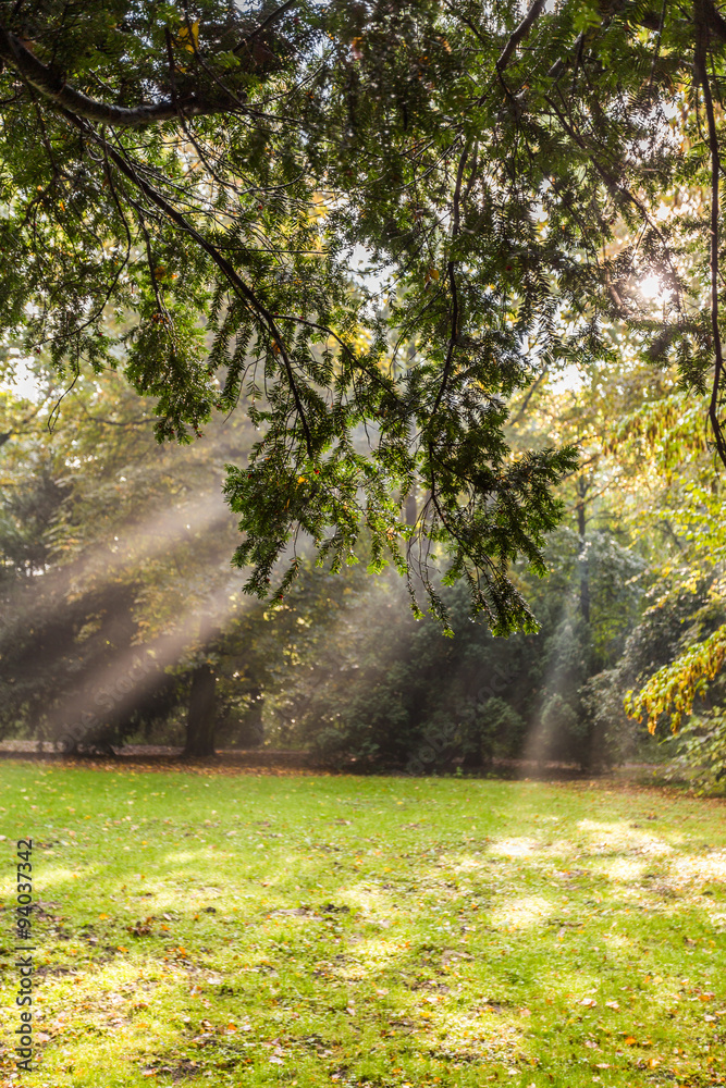 Obraz premium Lindenpark