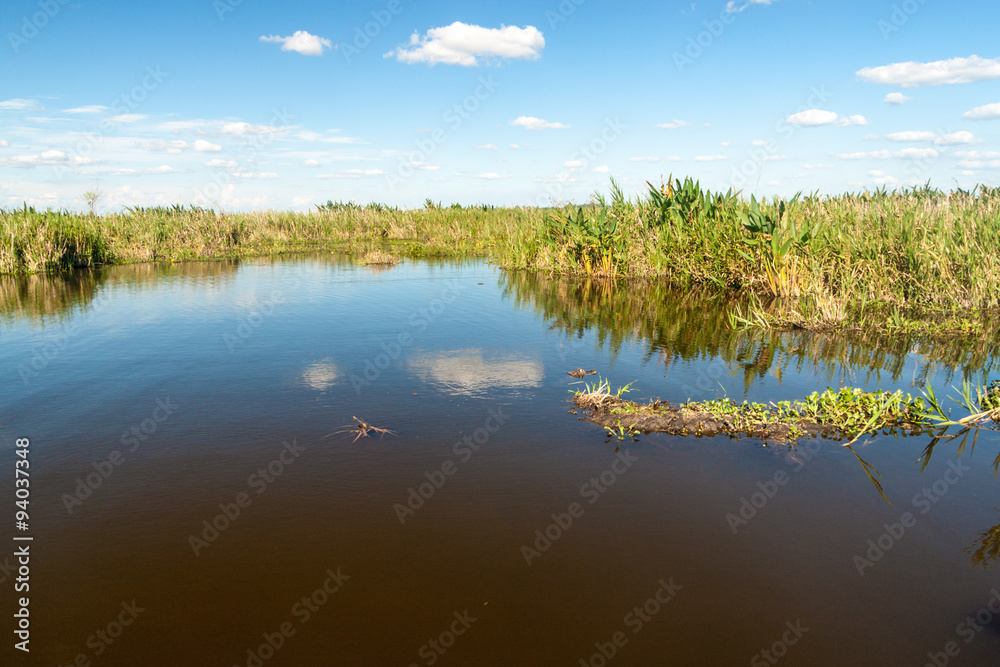 Wetlands in Nature Reserve Esteros del Ibera, Argentina Wetlands in Nature Reserve Esteros del Ibera, Argentina