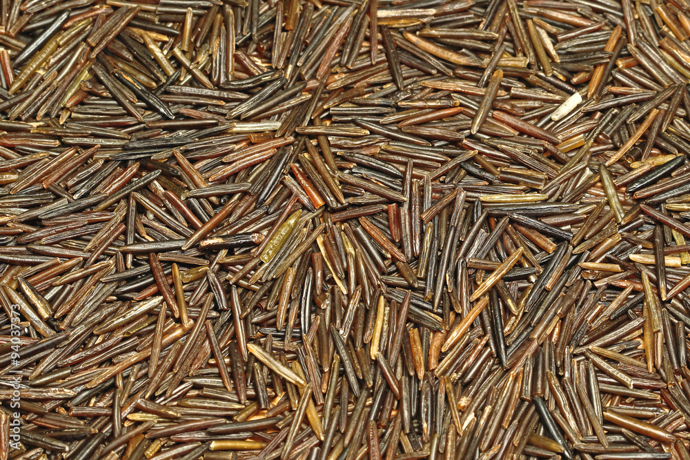 Wild Rice