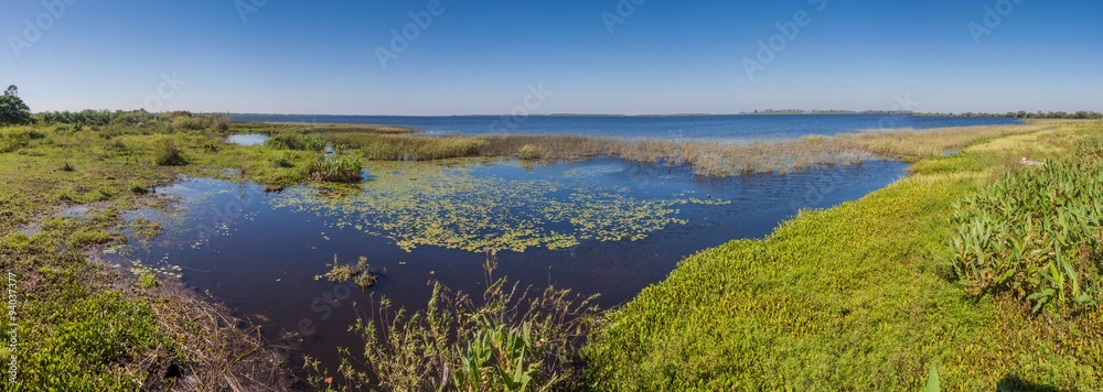 Wetlands in Nature Reserve Esteros del Ibera, Argentina