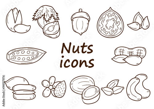 Hand drawn nuts icons