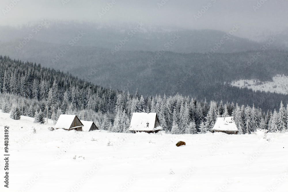 Winter landscape with snowy fir trees