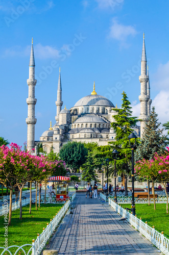 View over the blue mosque in Istanbul. Fototapet