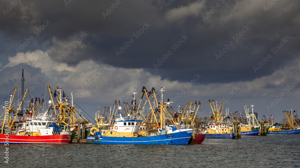 Dutch Fishing fleet in Lauwersoog harbor