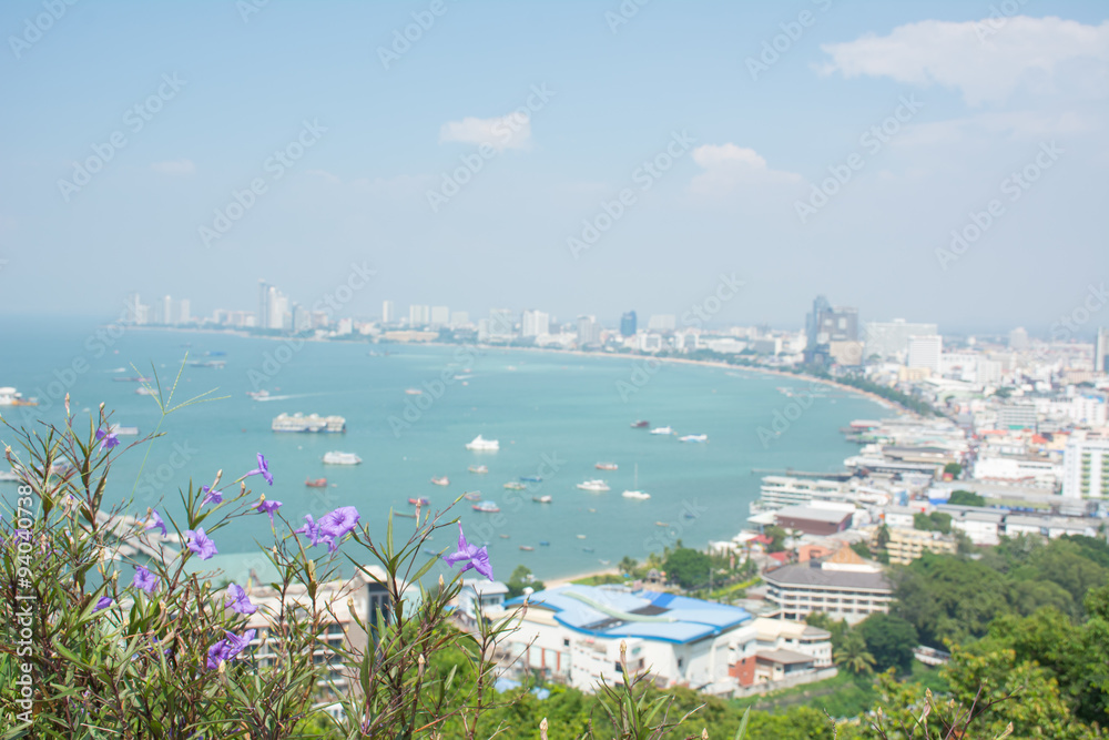 Purple flowers with pattaya beach and town in background