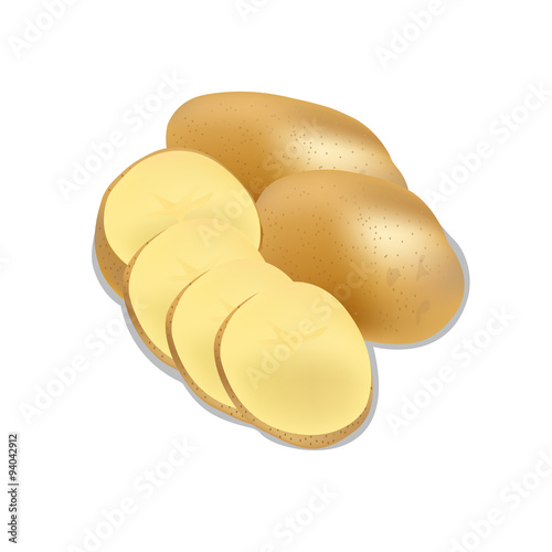 potato isolated on white background close up, vector illustration