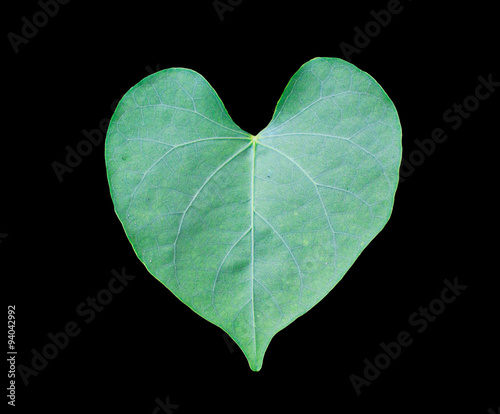 green leaves heart shape with black background