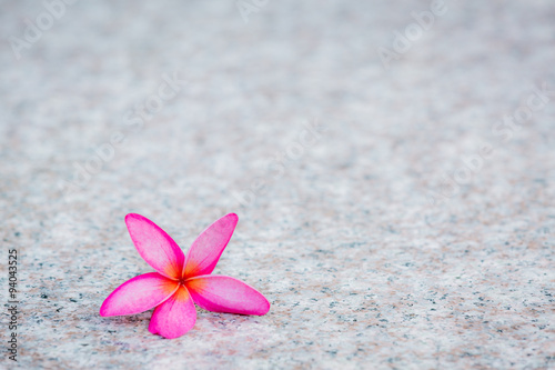 Fototapeta Naklejka Na Ścianę i Meble -  frangipani flower isolated on stone background