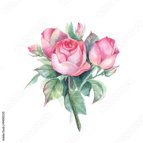 Fototapeta Naklejka Na Ścianę i Meble -  Roses. Small bouquet. Watercolor illustration