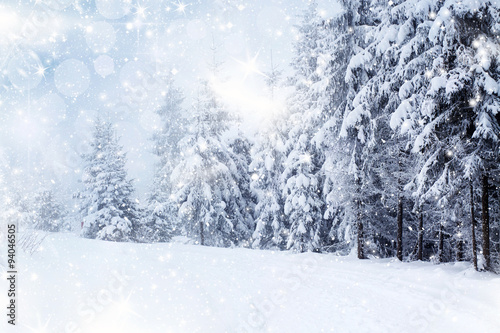 Christmas background with snowy fir trees