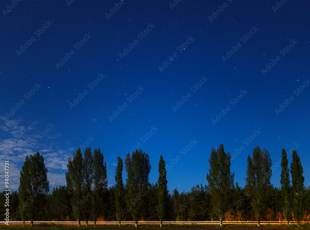 Illuminated car road in the woods on a background of the starry Illuminated car road in the woods on a background of the starry