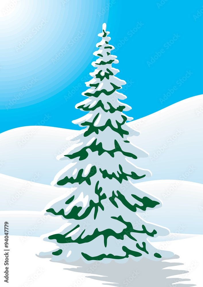 Snow covered fir tree