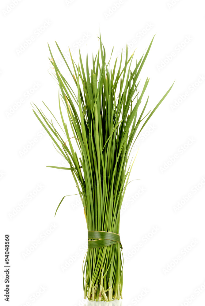 Chinese Garlic Chives also known as Ku Chai