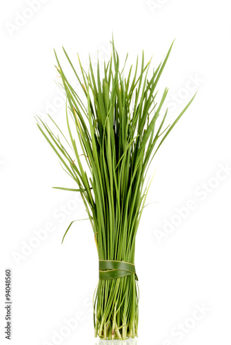 Chinese Garlic Chives also known as Ku Chai