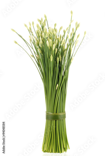Flowering Chinese Garlic Chives also known as Ku Chai