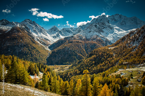 alpine landscape in autumn - Chiareggio - Italy