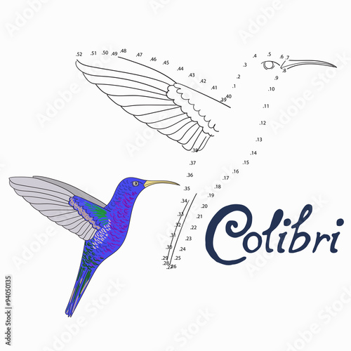 Educational game connect dots to draw colibri bird