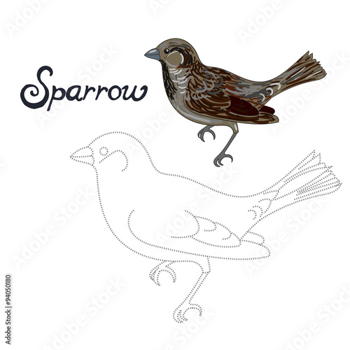 Educational game connect dots to draw sparrow bird