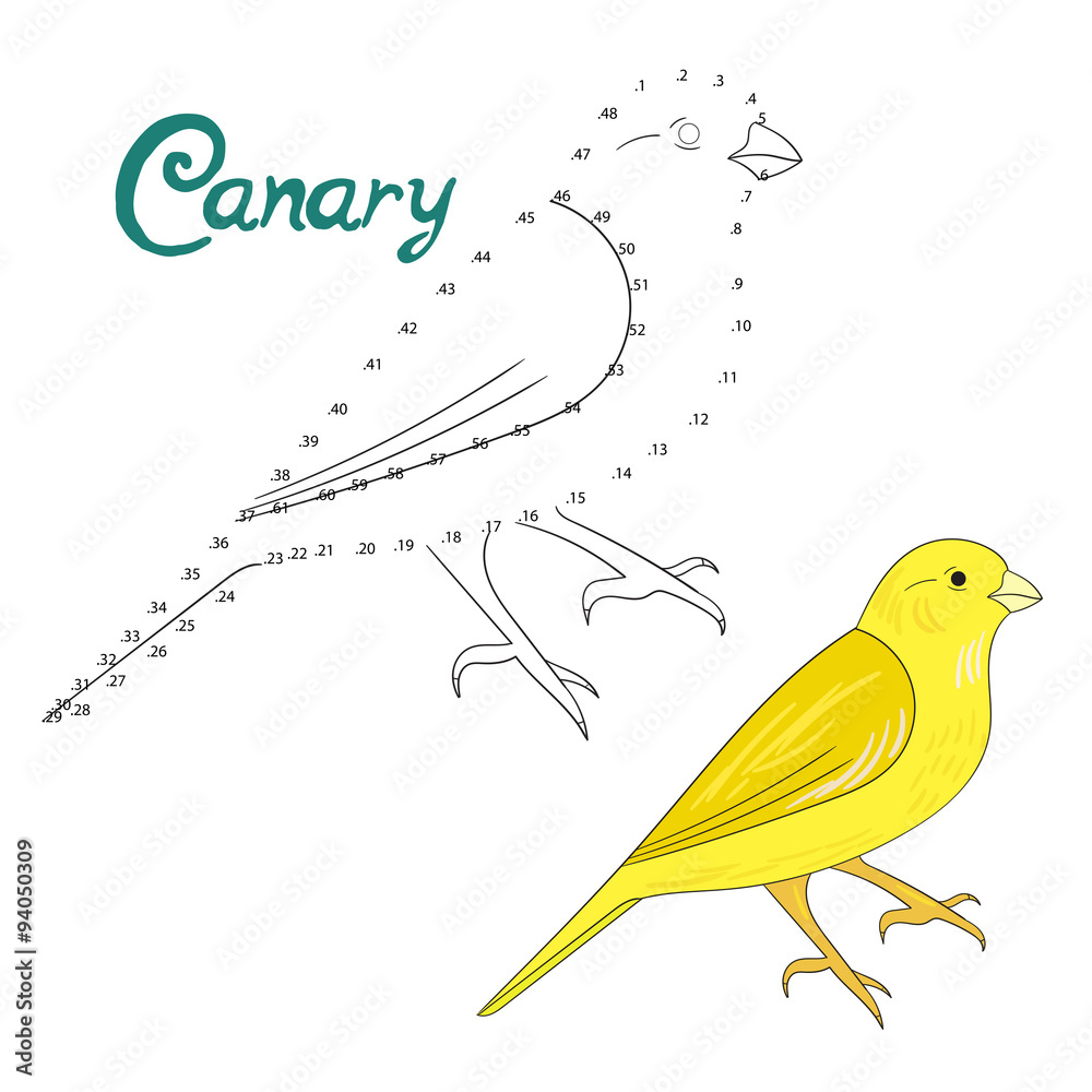 Educational game connect dots to draw canary bird Educational game connect dots to draw canary bird