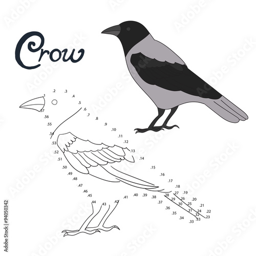 Educational game connect dots to draw crow bird