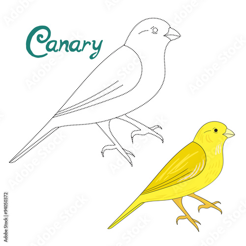 Educational game connect dots to draw canary bird