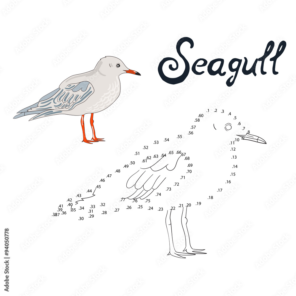 Obraz premium Educational game connect dots to draw seagull bird