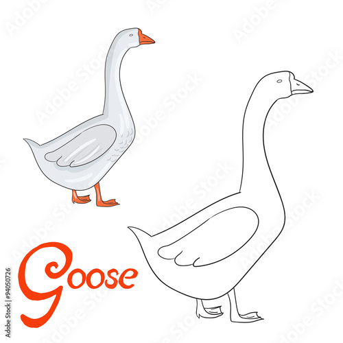 Educational game coloring book goose bird  vector