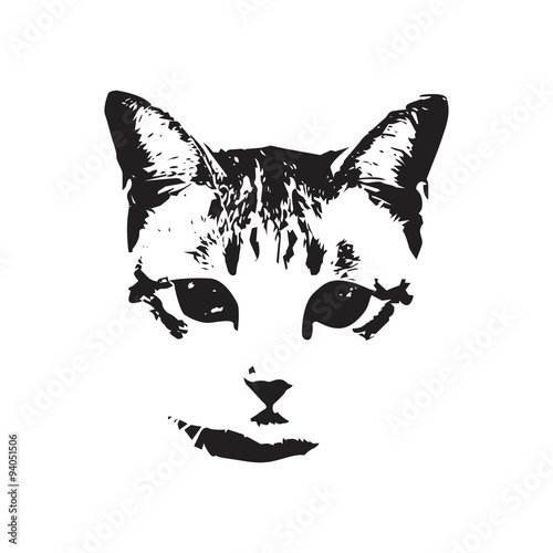 cat face vector