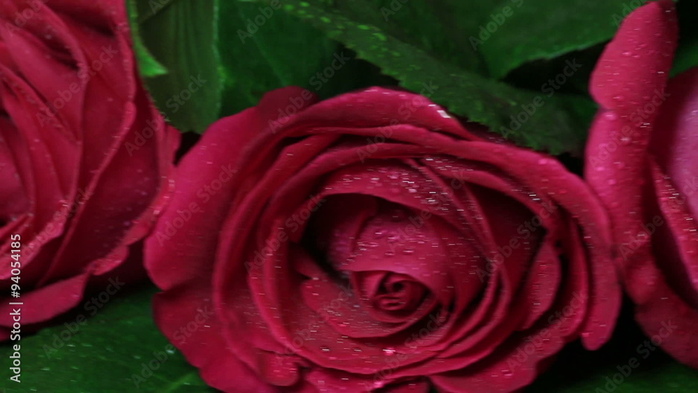Beautiful bouquet of red roses is rotated. Beautiful bouquet of red roses is rotated.
