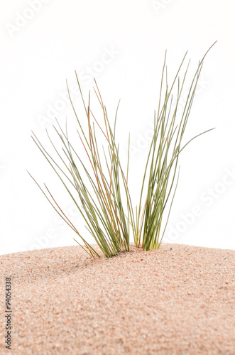 Gras im Sand Hintergrund
