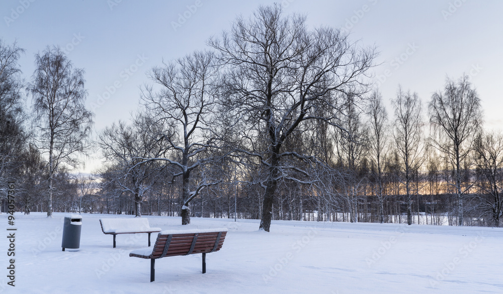 The park in the winter