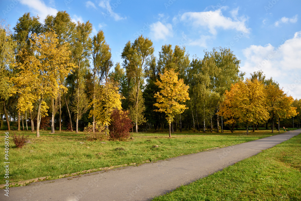 Fantastic autumn landscape of walkway in the park with yellow tr Fantastic autumn landscape of walkway in the park with yellow tr